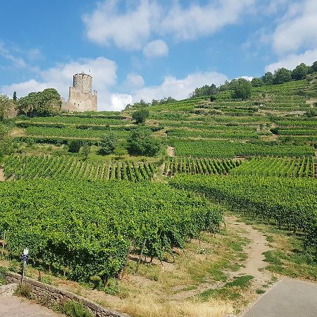 Kaysersberg City Center - Cote Vignoble - Exterior photo
